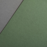 Colorplan 135 g/qm DIN A4 Verde oliva