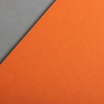 Colorplan 270 g/m² DIN A4 Ruggine