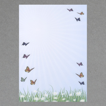 Schmetterlinge DIN A4 - 100 Blatt 