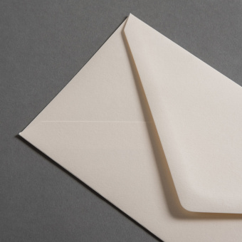 Colorplan Buste DL Camoscio