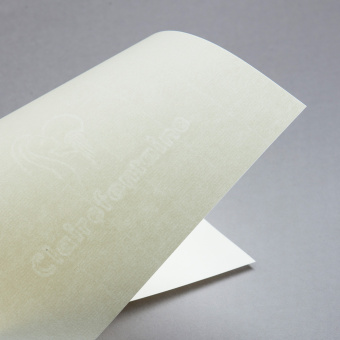 C by Clairefontaine vergata DIN A4 avorio 100 g/m² 