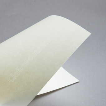C by Clairefontaine liscia DIN A4 avorio 100 g/m² 