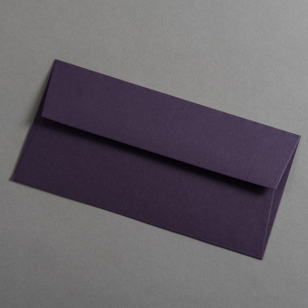 Colorplan Buste DL Melanzana