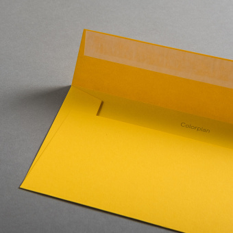 Colorplan Enveloppes DL Curry
