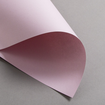 Colorplan Extracted Blassrosa 270 g 