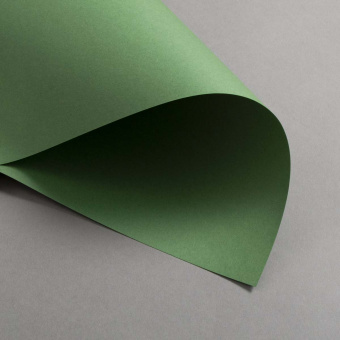 Colorplan Extracted Vert Matcha 270 g 