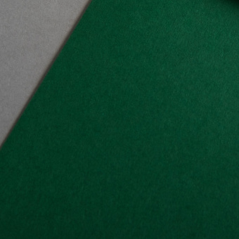 Colorplan 270 g/qm DIN A3 Verde abete
