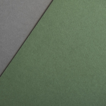 Colorplan 270 g/qm DIN A3 Verde oliva