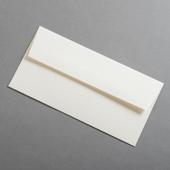Colorplan Buste DL Camoscio