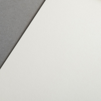 Colorplan 270 g/qm DIN A3 Camoscio