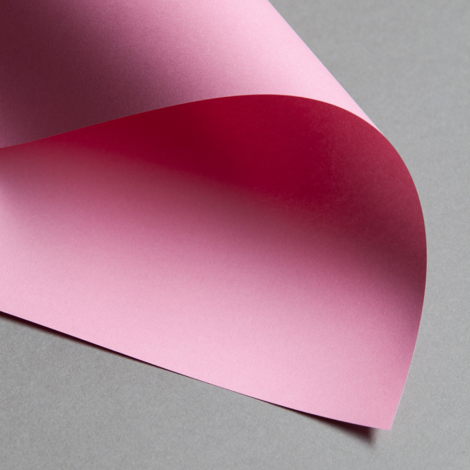 Clairefontaine Trophée 80 g rosa selvatica 