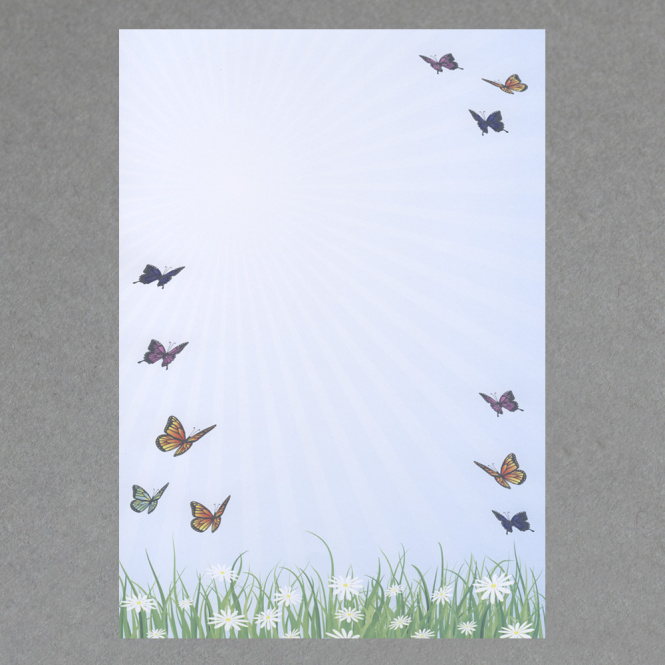 Schmetterlinge DIN A4 - 100 Blatt 