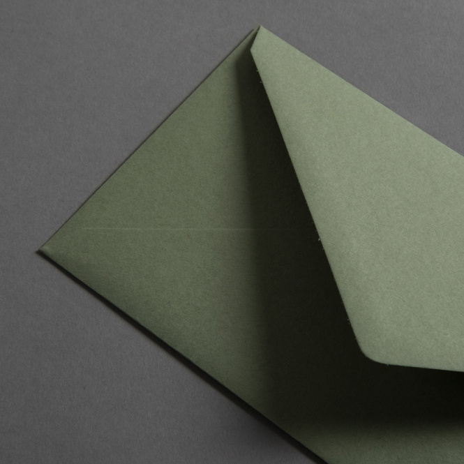 Colorplan Buste DL Verde oliva