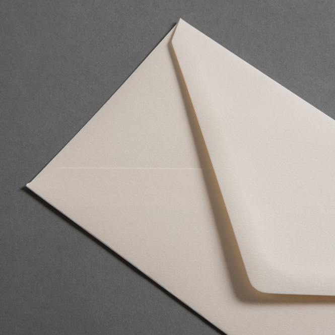 Colorplan Buste DL Camoscio