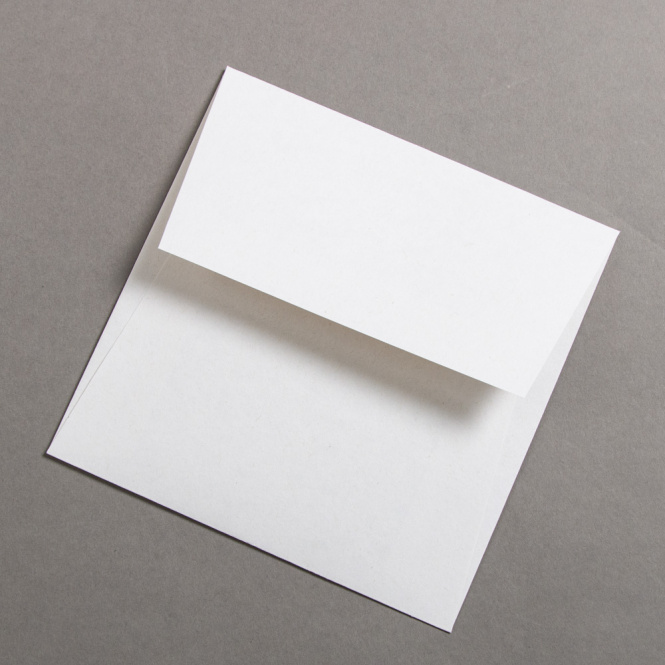 Colorplan Extracted Buste 155 x 155 mm Bianco Ghiaia