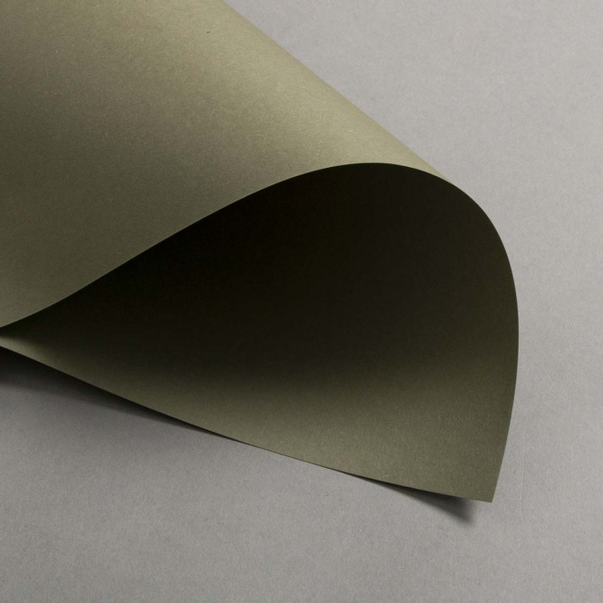 Colorplan Extracted Vert Kaki 270 g 