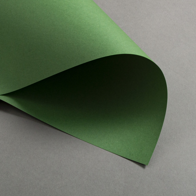 Colorplan Extracted Verde Matcha 270 g DIN A3