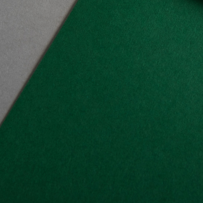Colorplan 270 g/m² DIN A4 Verde abete