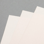 Icon 2 - Clairefontaine Trophée pastel 160 g/m² DIN A4 Saumon