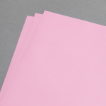 Icon 2 - Clairefontaine Trophée 80 g rosa selvatica 