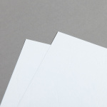 Icon 2 - Cartoncino da rilegatura goffrato in pelle A4 Bianco alto 