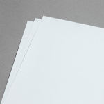 Icon 2 - Revolution liscia Grigio argento 270 g A4 