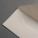 Icon 2 - Colorplan Buste DL Camoscio