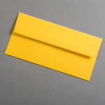 Icon 2 - Colorplan Enveloppes DL Curry