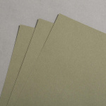 Icon 2 - Colorplan Extracted Vert Kaki 270 g 