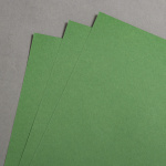 Icon 2 - Colorplan Extracted Vert Matcha 270 g 