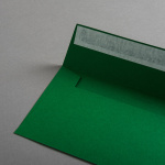 Icon 2 - Colorplan Buste DL Verde biliardo