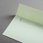 Icon 2 - Colorplan Buste DL Verde pistacchio