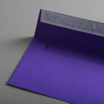 Icon 2 - Colorplan Buste DL Viola