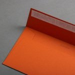 Icon 2 - Colorplan Buste DL Ruggine