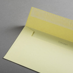 Icon 2 - Colorplan Couverts DIN lang Hellgelb