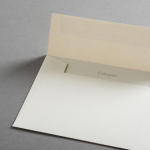 Icon 2 - Colorplan Buste DIN B6 lembo di chiusura diritto Camoscio