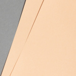 Icon 2 - EVERCOLOR Lachs DIN A3 80 g 