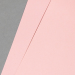 Icon 2 - EVERCOLOR Rosa DIN A4 80 g 