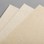 Icon 2 - Carta erba 275 g DIN A3