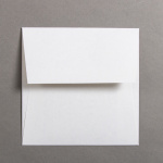 Icon 3 - Colorplan Extracted Buste 155 x 155 mm Bianco Ghiaia