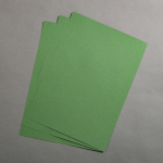 Icon 3 - Colorplan Extracted Vert Matcha 270 g 