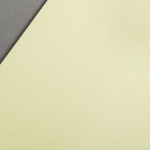 Icon 3 - Colorplan Couverts DIN lang Hellgelb