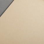 Icon 3 - Colorplan Enveloppes DL Noix