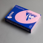 Icon 4 - Clairefontaine Trophée 80 g rosa selvatica 