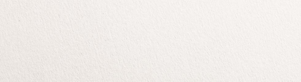 Sfondi in carta per il negozio online “Papier Direkt”